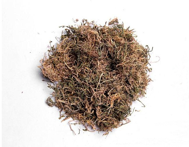 供应中药材 半边莲 批发零售 谓博药业