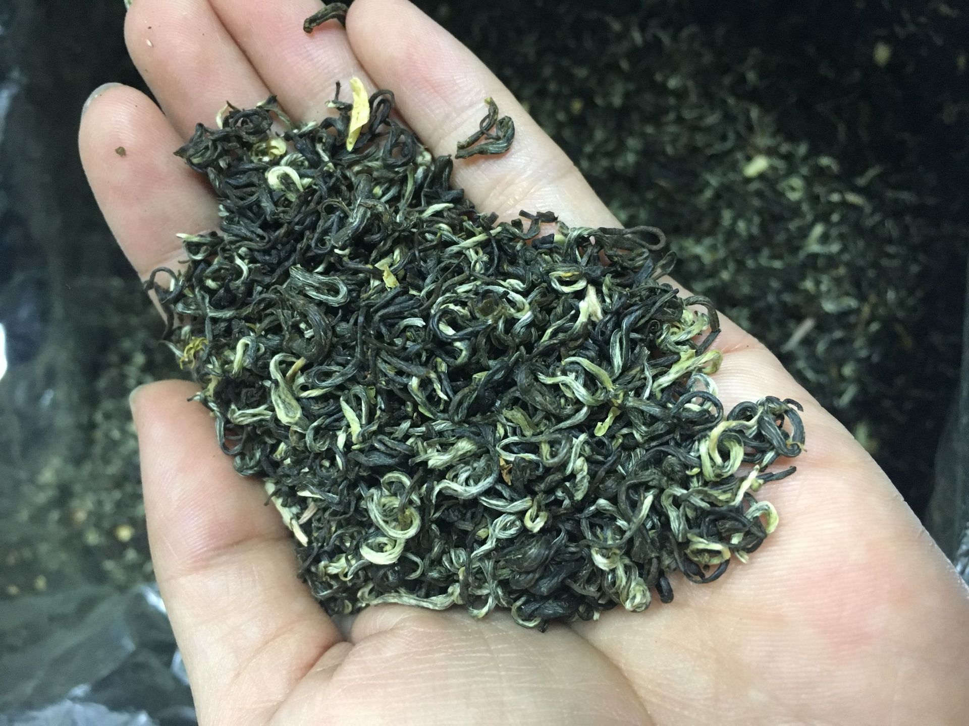 横县长海茶厂直销茉莉花茶 墨玉听香500克30斤起批