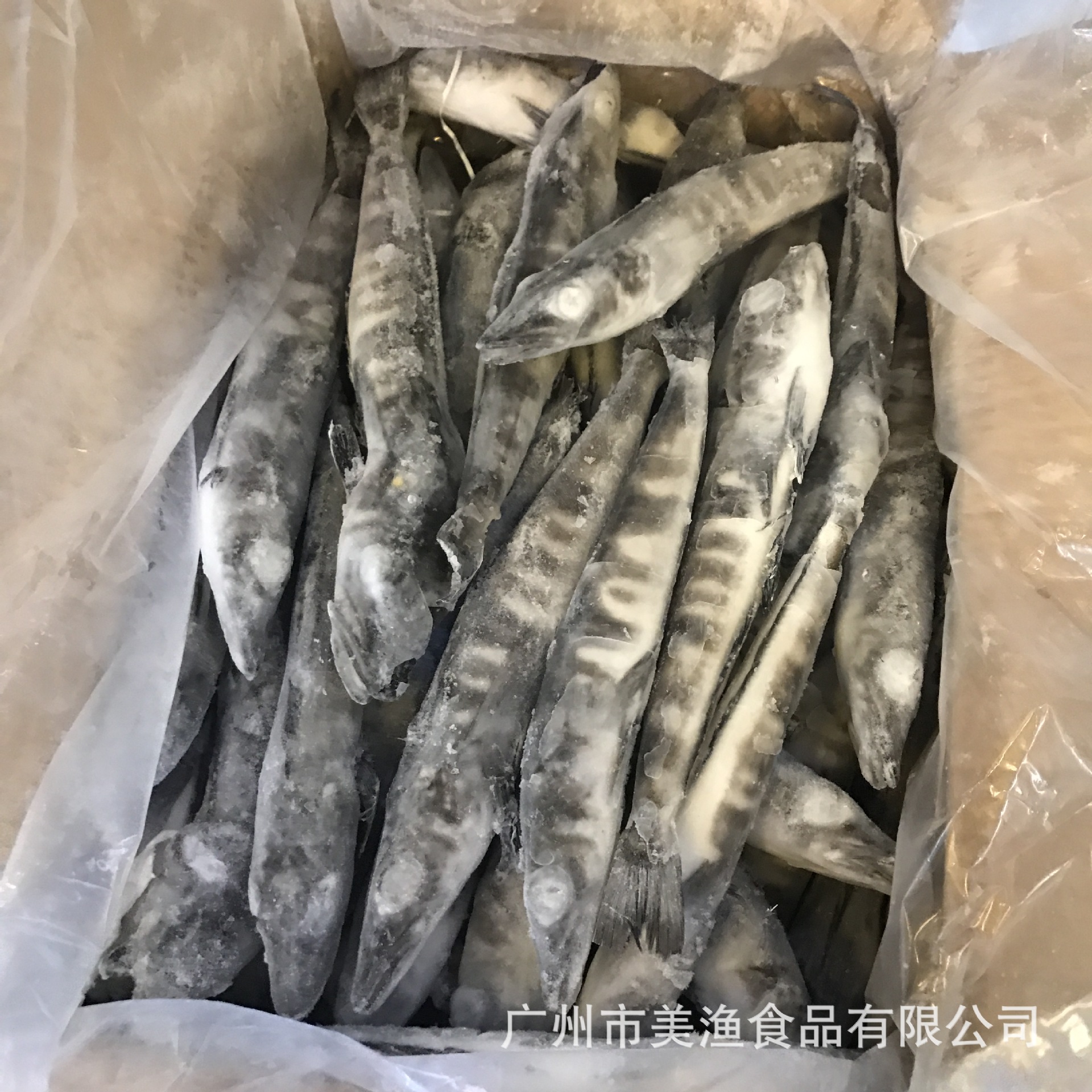 白冰鱼 食堂超市深海 南极冰鱼20斤/件 多冰南极冰鱼 100-200g/条