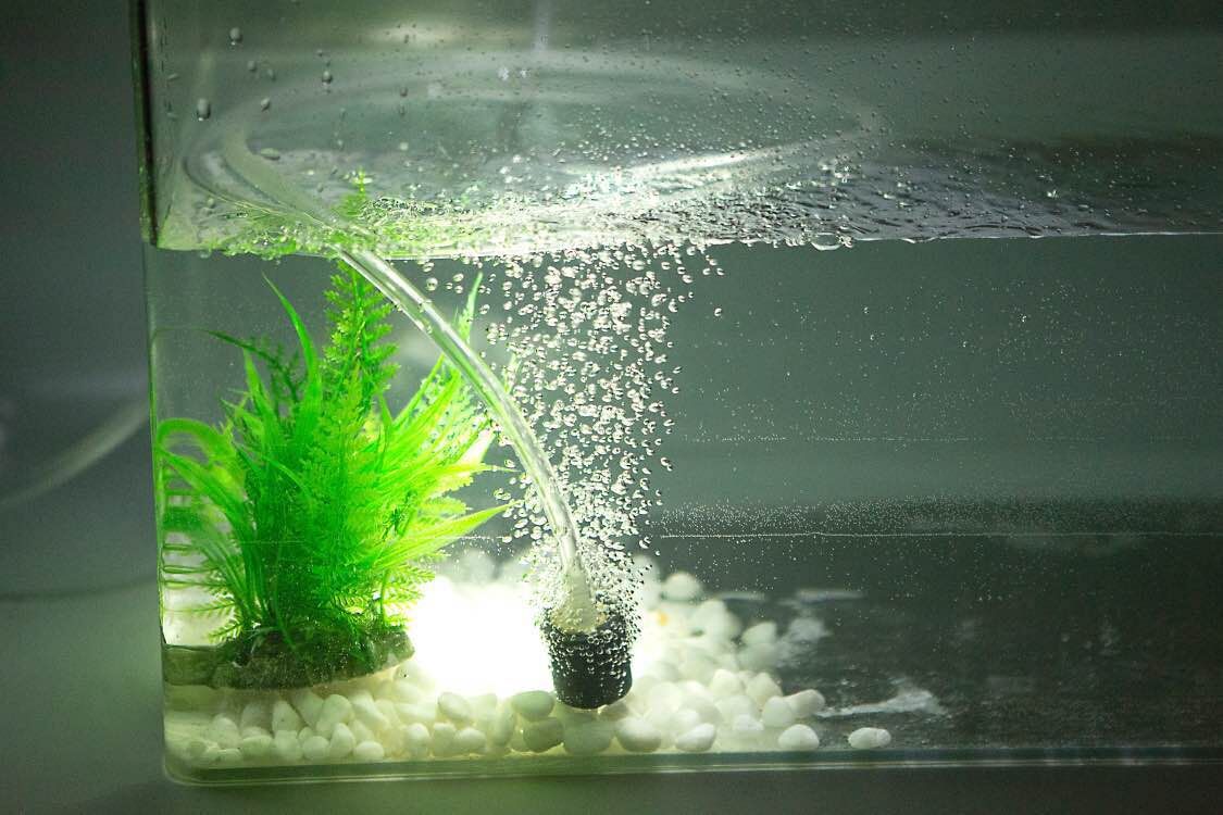 增氧泵氧气泵鱼缸水族箱专用静音气泡石沙头气头氧气石气泡石