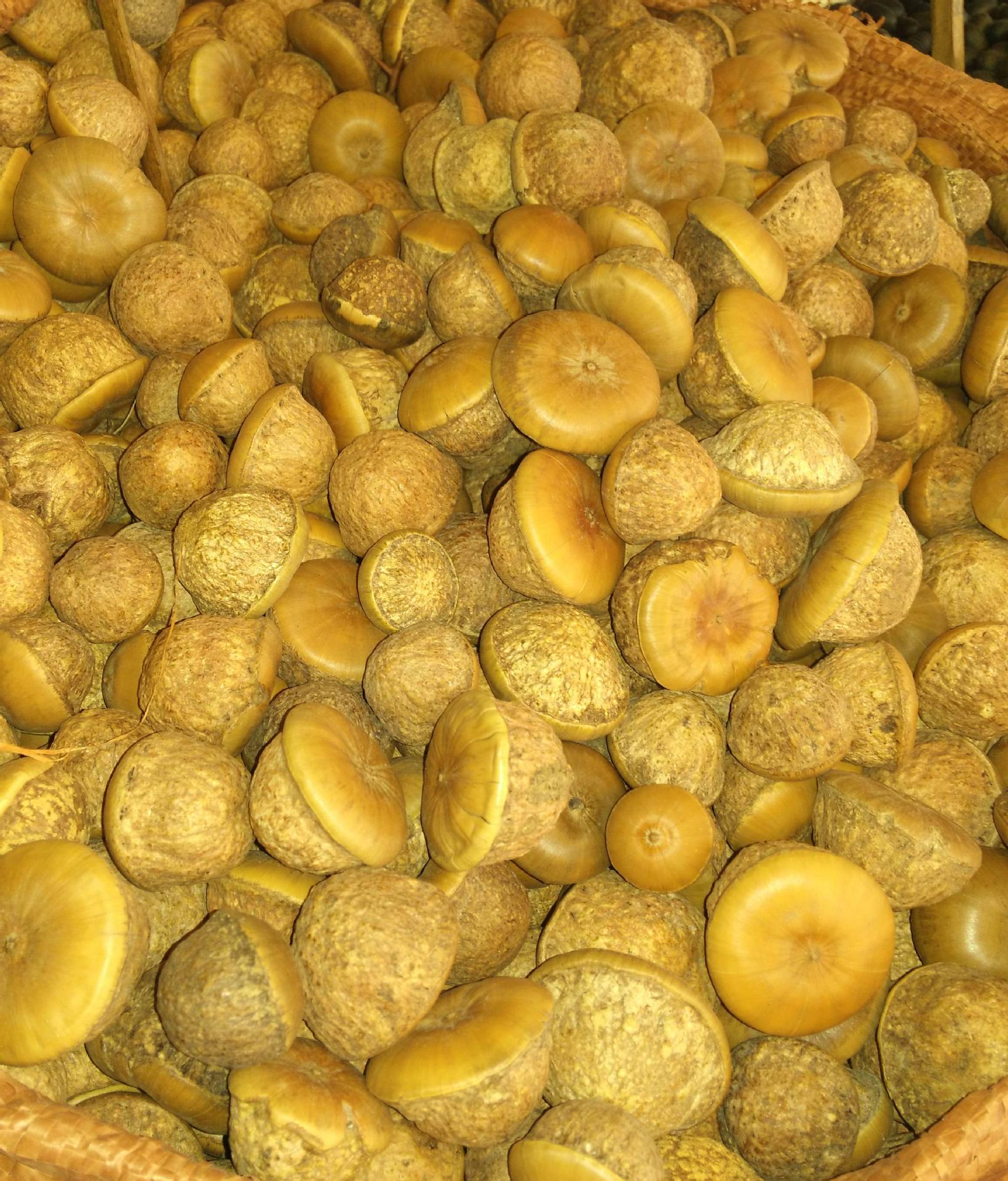 供应风流果 壮阳果 补肾果 天竺果 风流果有果仁有果肉