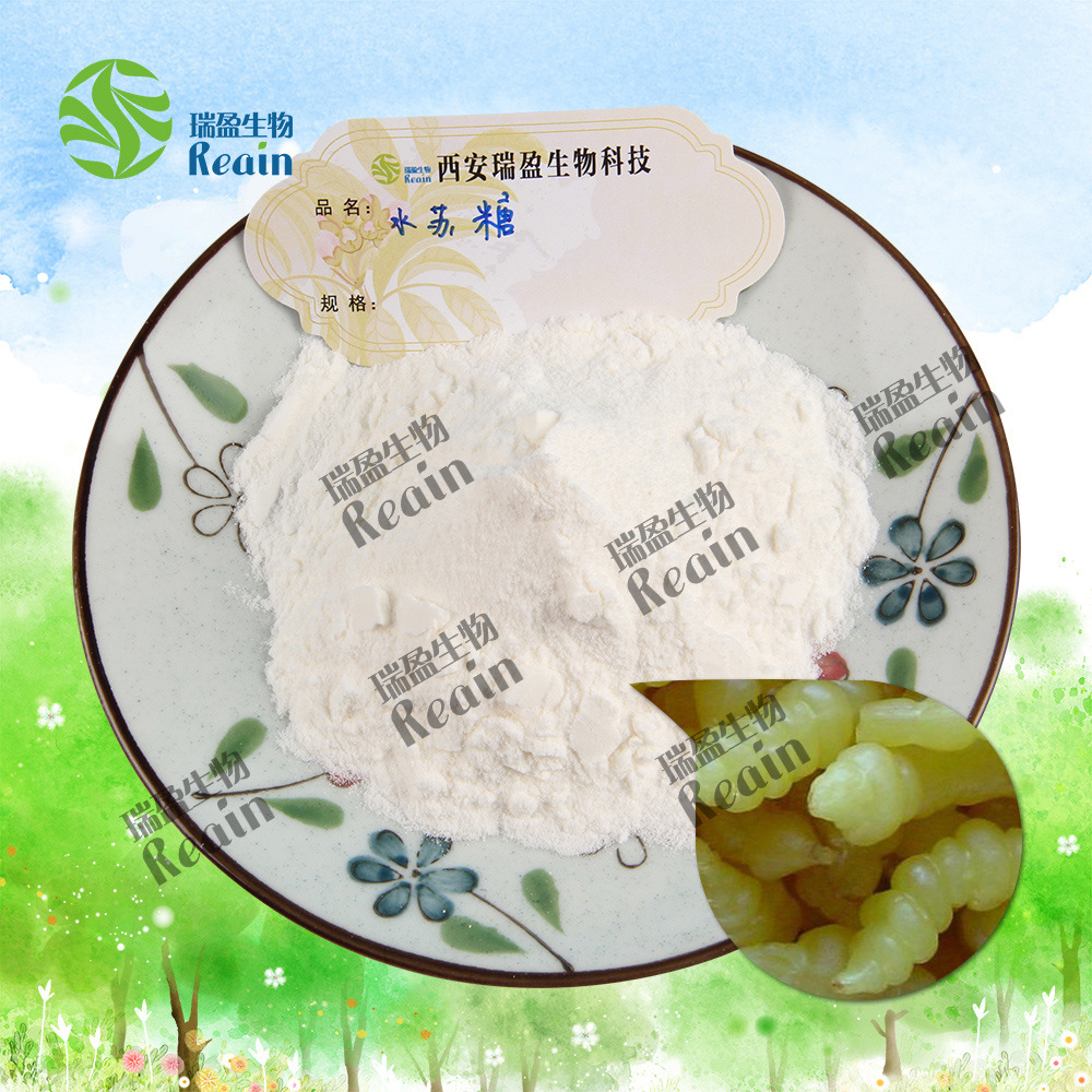 水苏糖原料 粉末