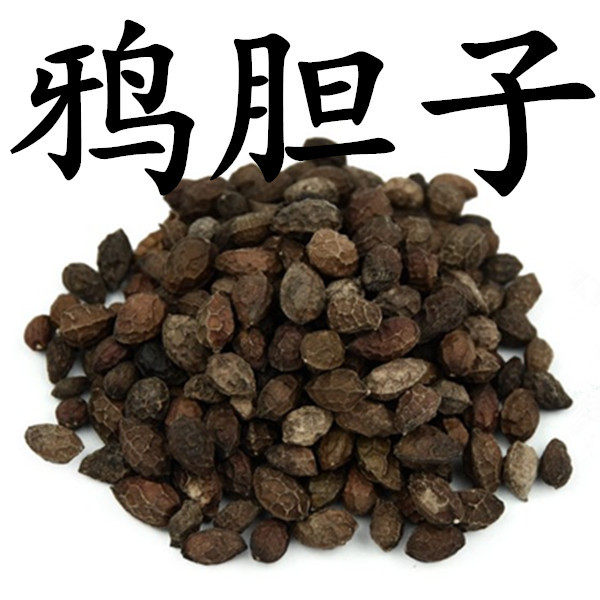 鸦胆子 包邮中药材 老鸦胆 鸦胆 苦榛子 苦参子 小苦楝 500克新货