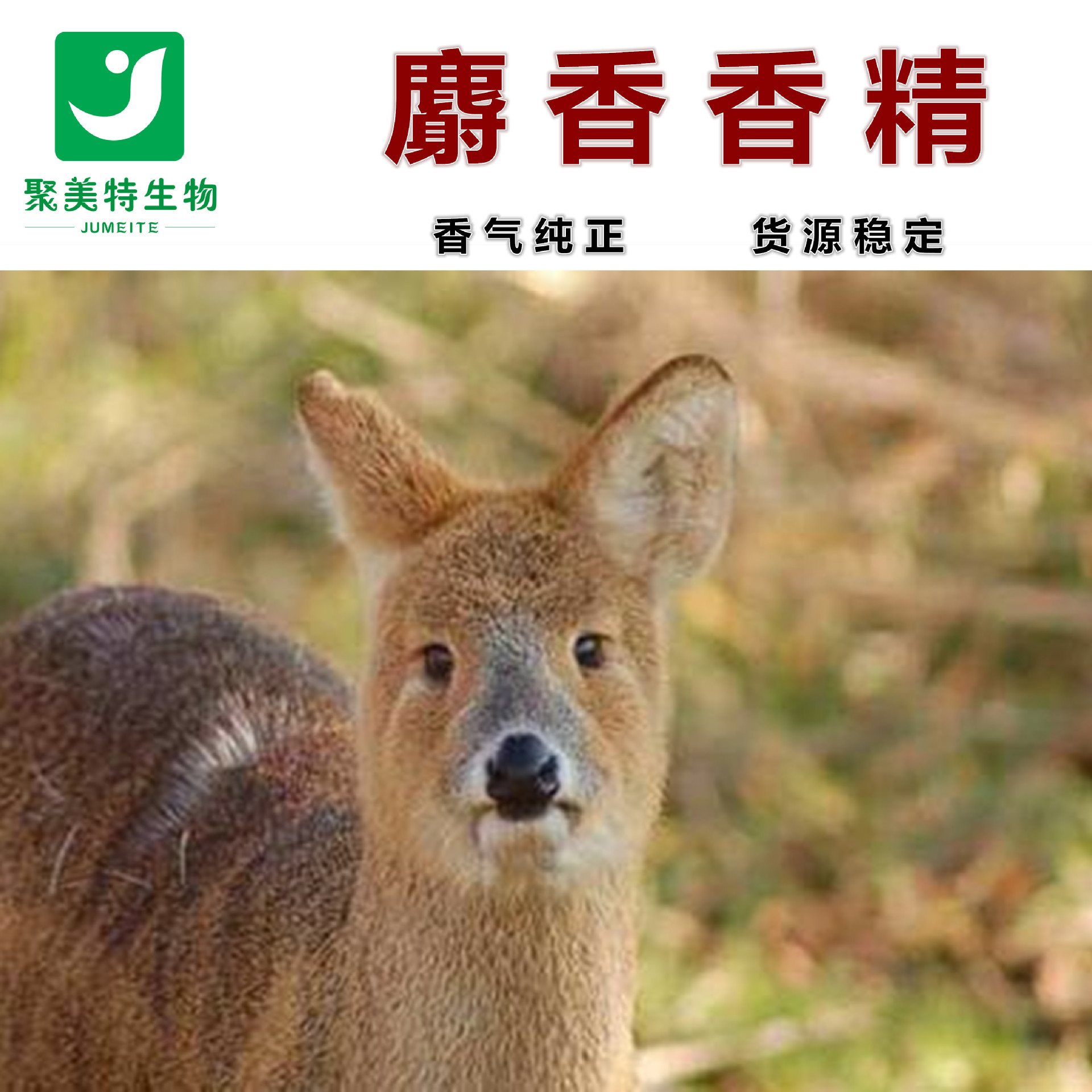 现货供应 麝香香精 鱼饵添加剂 动物香精 钓鱼小药