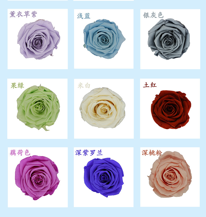 玫瑰颜色色卡_02