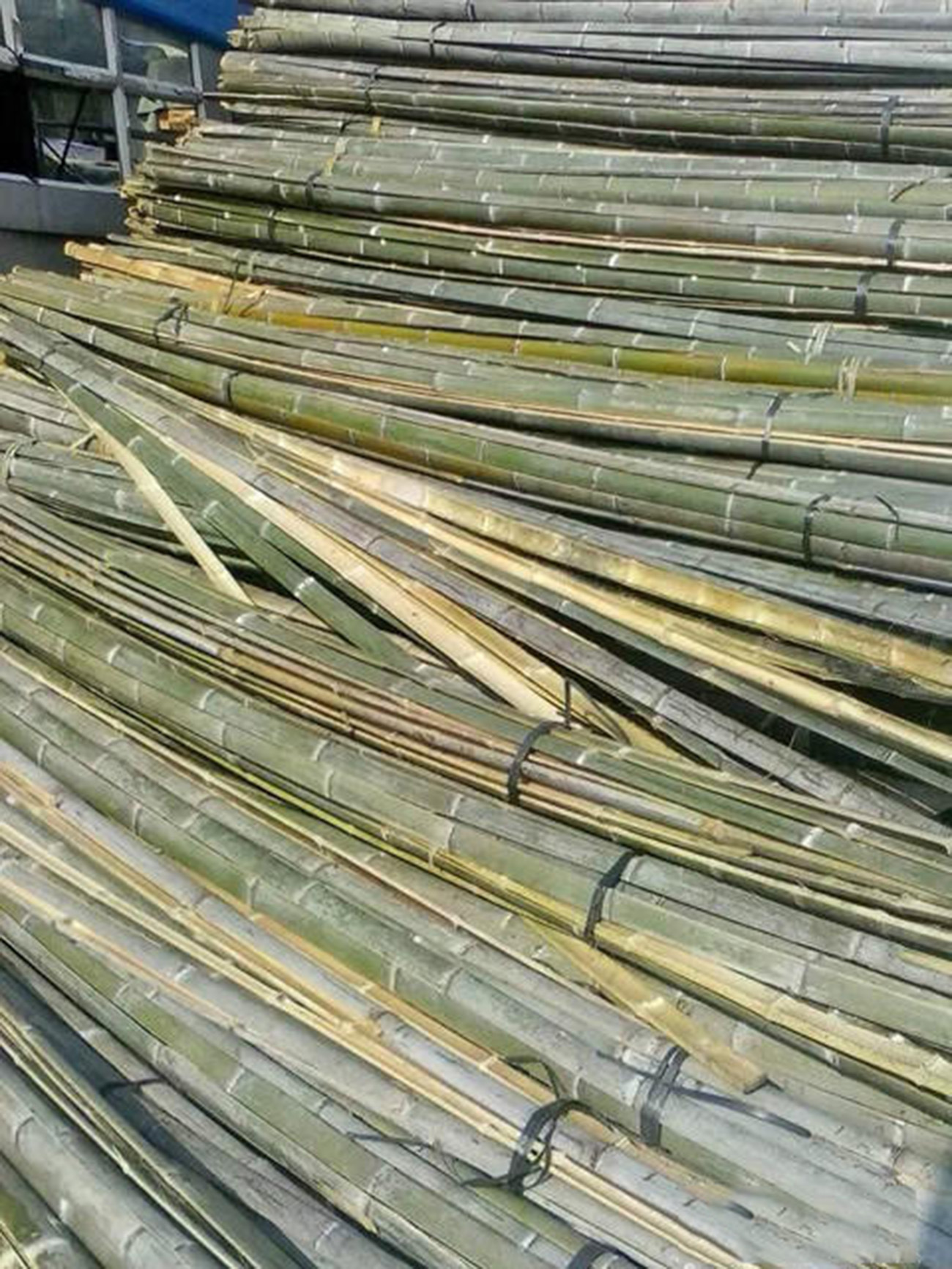 厂家供应毛竹片 楠竹片 搭菜架棚 建筑工地用 6米长小头2公分竹片