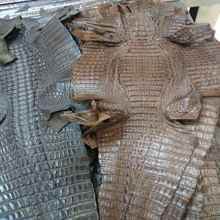 尼罗鳄 暹罗鳄 凯门 鳄鱼皮 稀有动物皮各种彩色鳄鱼皮 专业代购