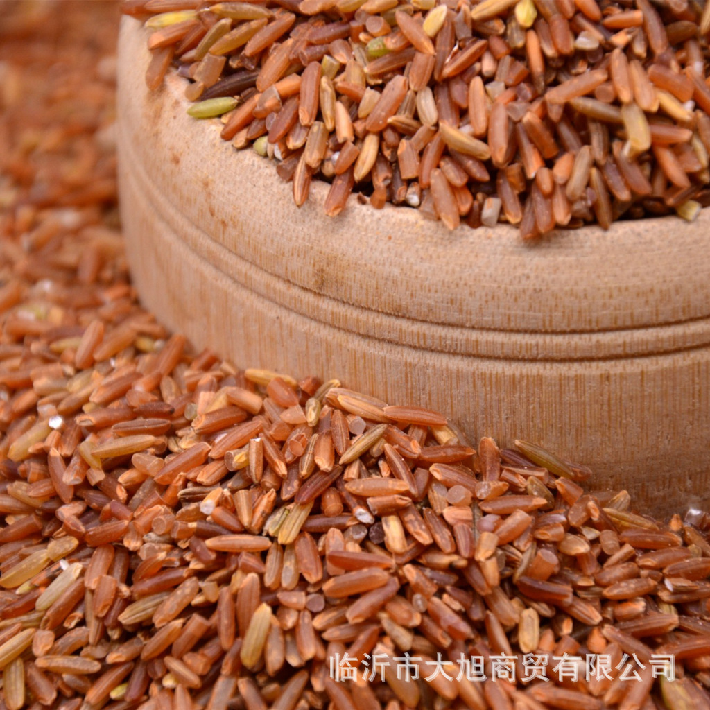 红米批发杂粮红粳米红色大米红糙米一件500g五斤包邮
