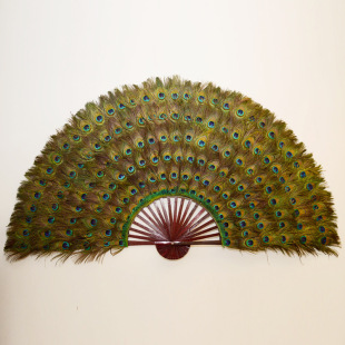 【专业定制】孔雀羽毛扇 孔雀羽毛扇 扇形135厘米