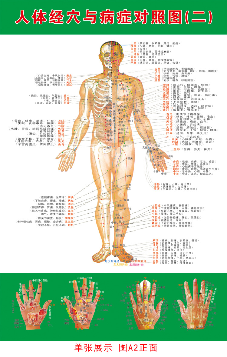 人体经穴与病症对照大挂图 人体经络穴位图艾灸按摩家用挂画