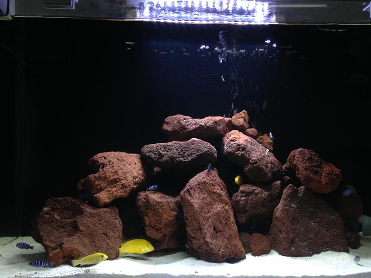 鱼缸装饰造景火山石 鱼缸过滤耗材火山石批发 多肉植物装点松皮石