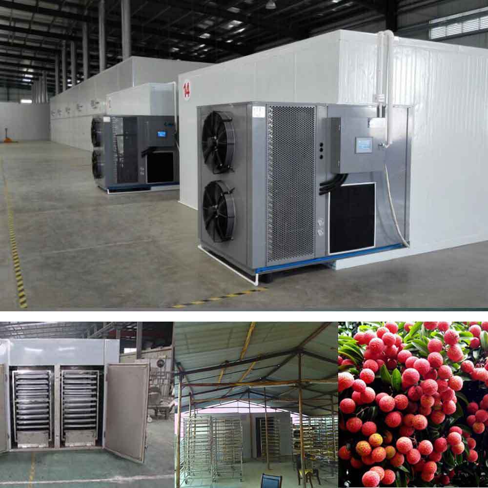 荔枝干烘干机