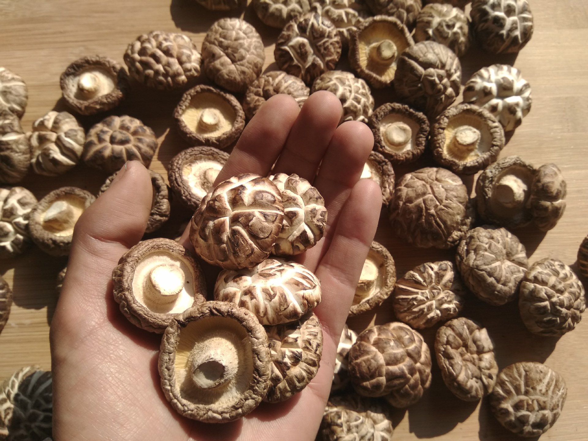 花菇干货庆元小花菇500g包邮散装批发