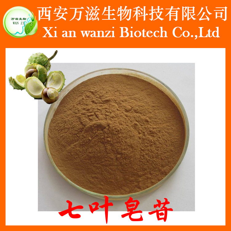 娑罗果提取物_七叶20% 娑罗果提取物 大量批发 价格 欢迎订购 - 阿里