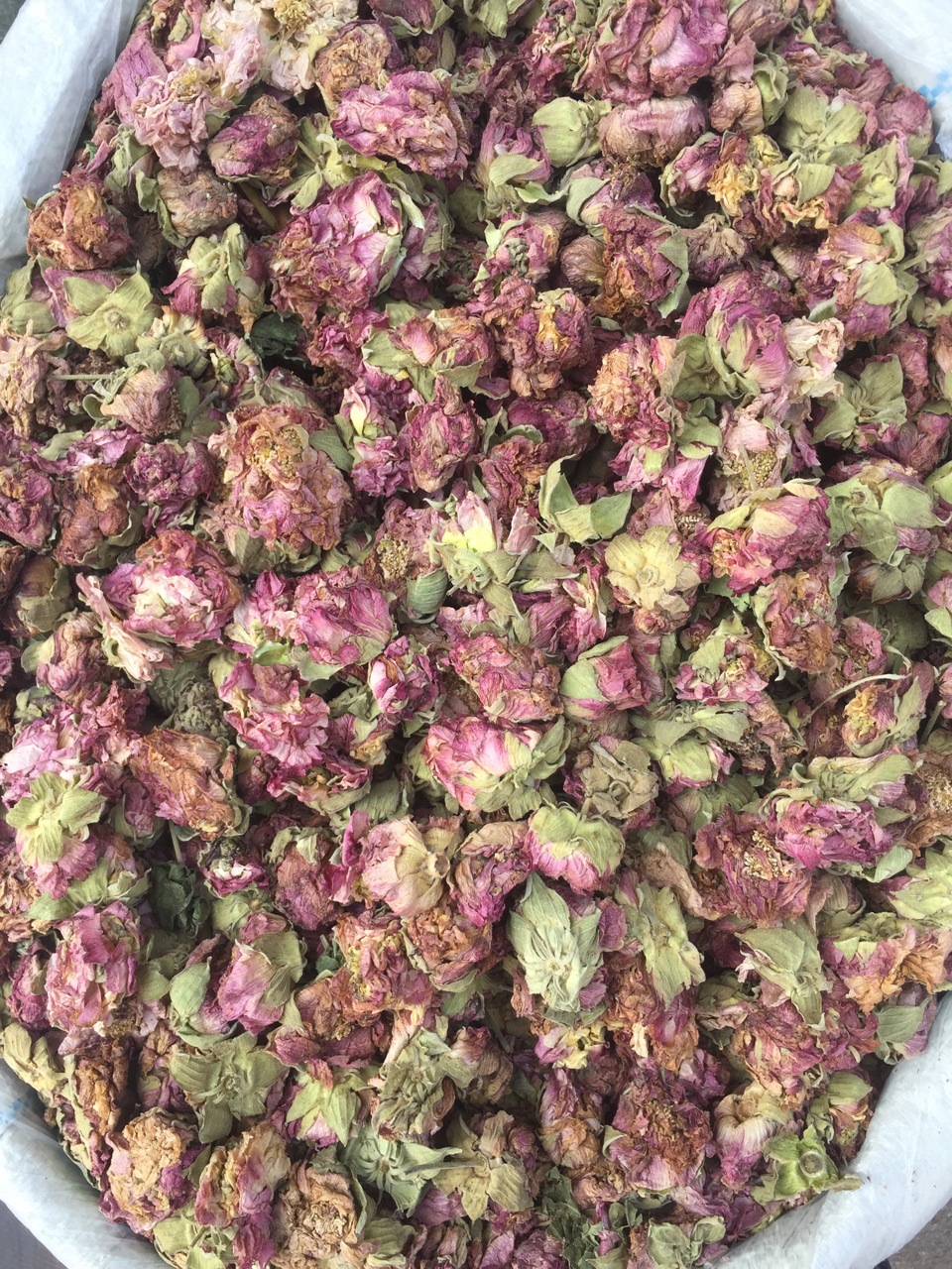 药材批发芙蓉花木芙蓉花地芙蓉干芙蓉花量大从优