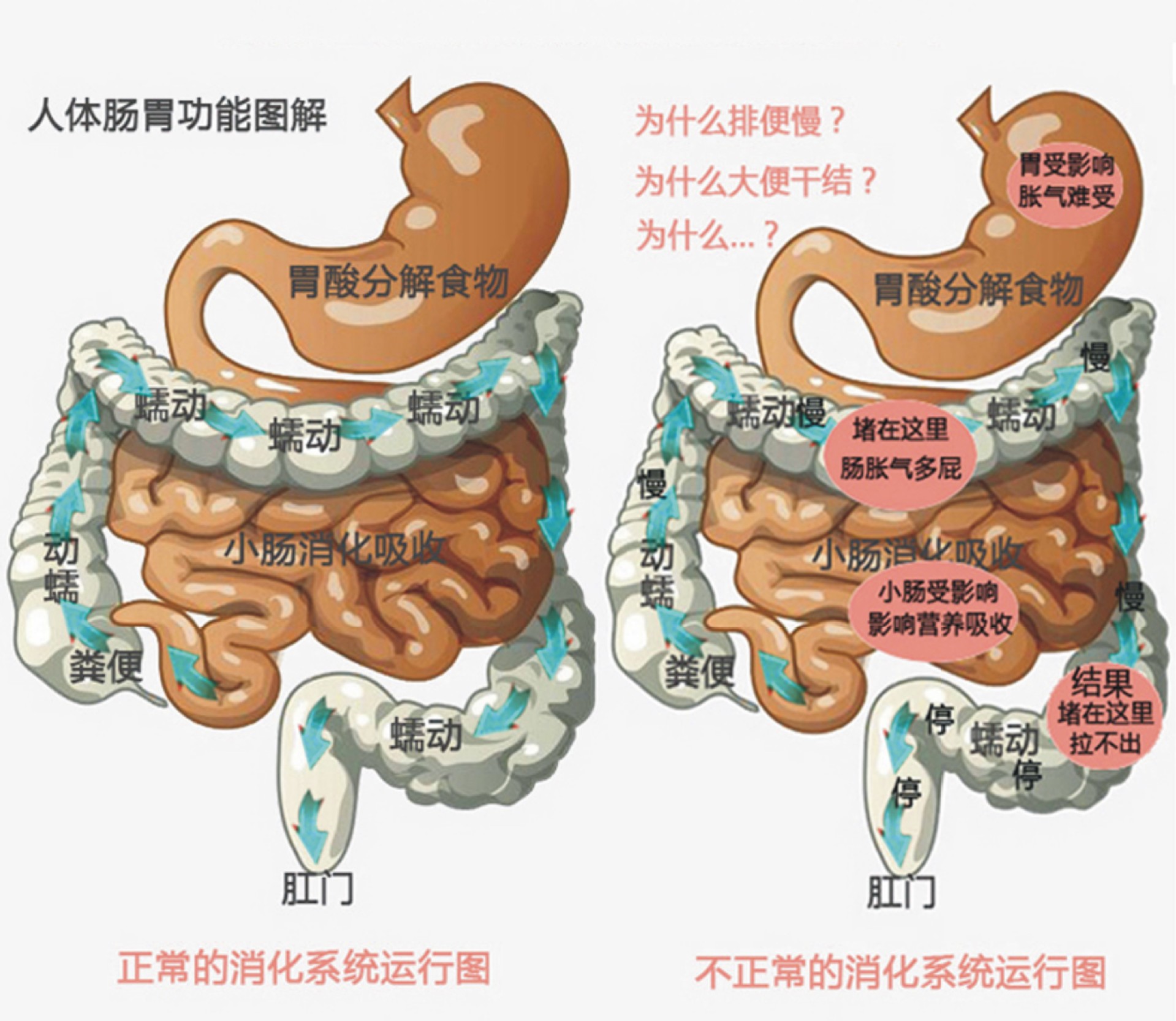 一件代发腹部按摩器带加热揉肚子家用肠胃蠕动胀气电动理疗揉