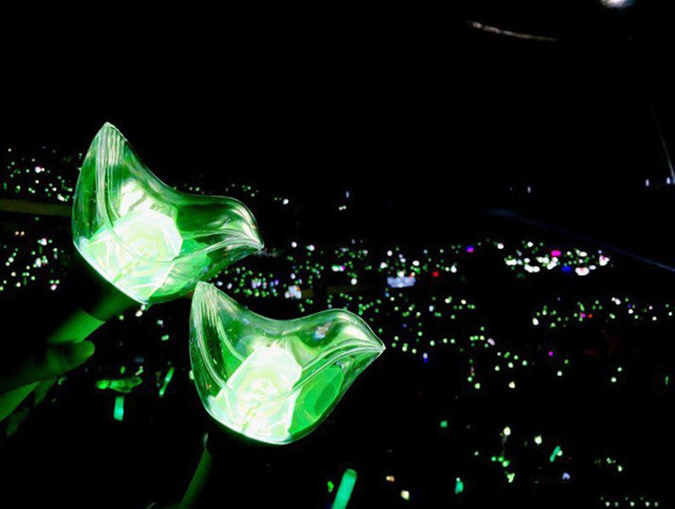 got7鸟棒鸟灯官方应援灯 演唱会应援棒 鸟宝宝韩国同款周边