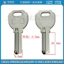 [B371]-钥匙胚批发 电 宏 电脑 随机批发钥匙胚,钥匙料子