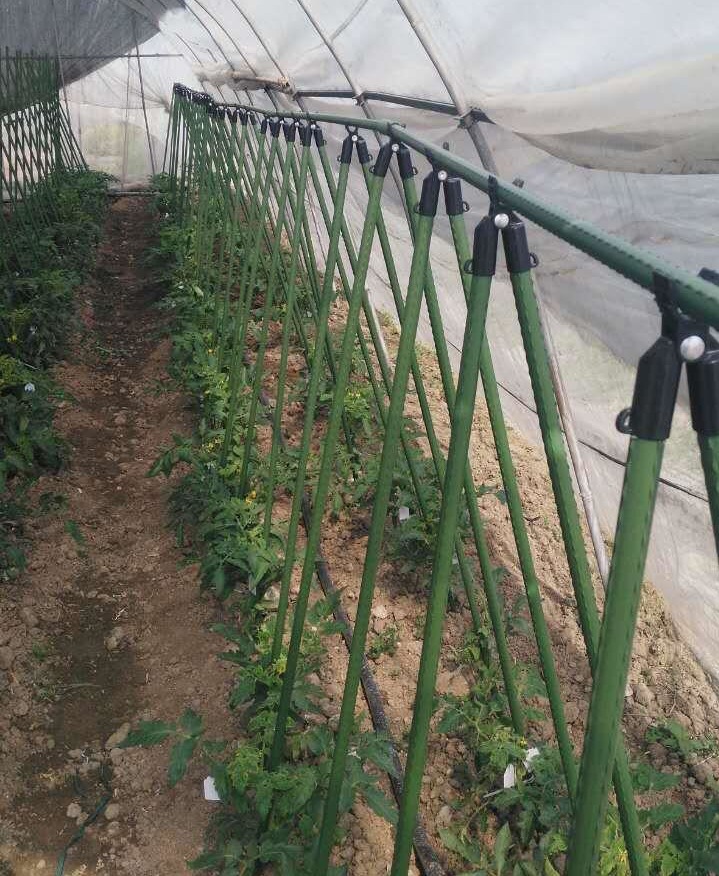 农业用 园艺支架包塑钢管 爬藤支架 番茄架 爬藤杆 大量批发