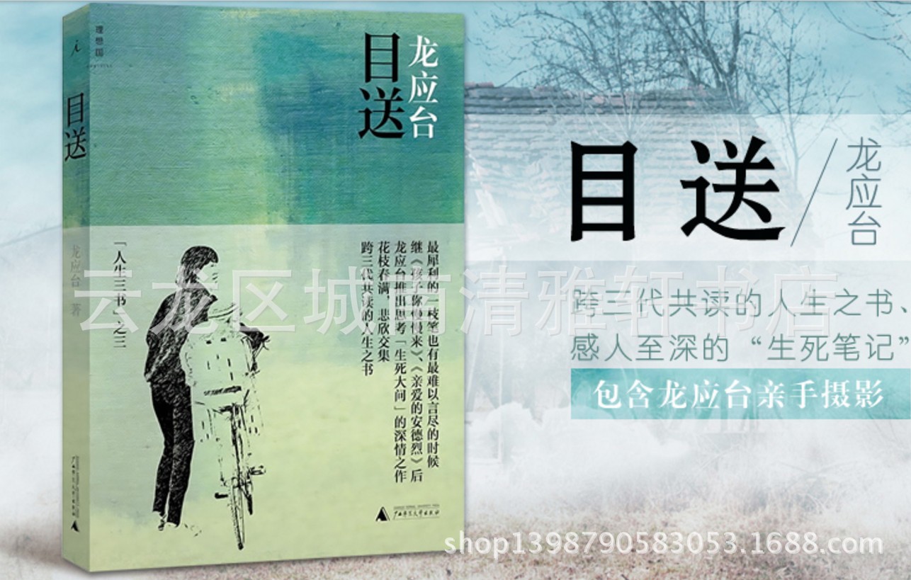 目送 龙应台 人生三书之三中国现当代文学随笔亲情散文小说