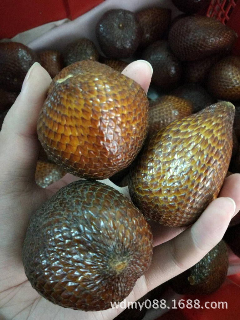 印尼蛇皮果 新鲜进口热带水果味似菠萝蜜提高记忆之果2斤批发代发