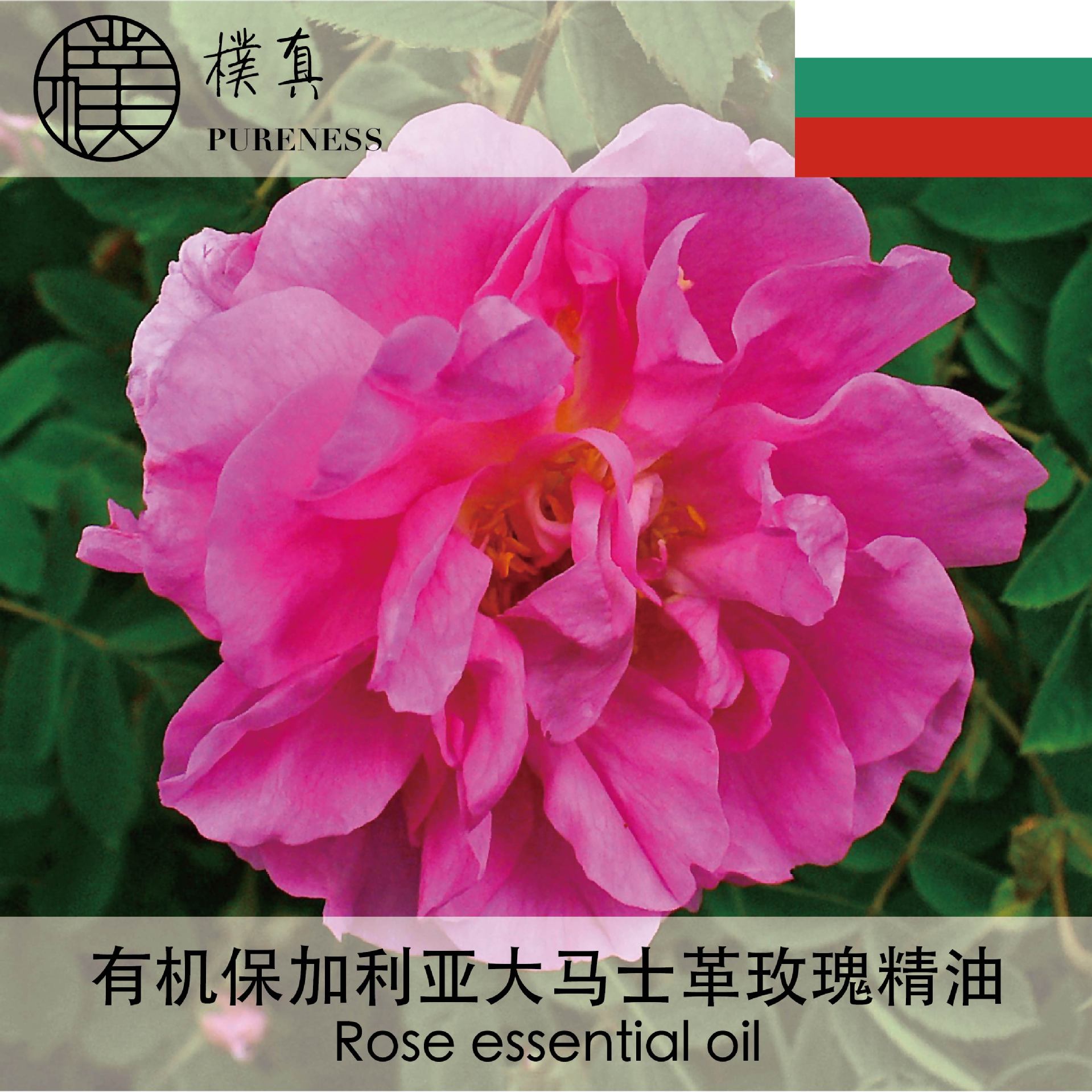 有机大马士革玫瑰精油rose essential oil台湾朴真-阿里巴巴