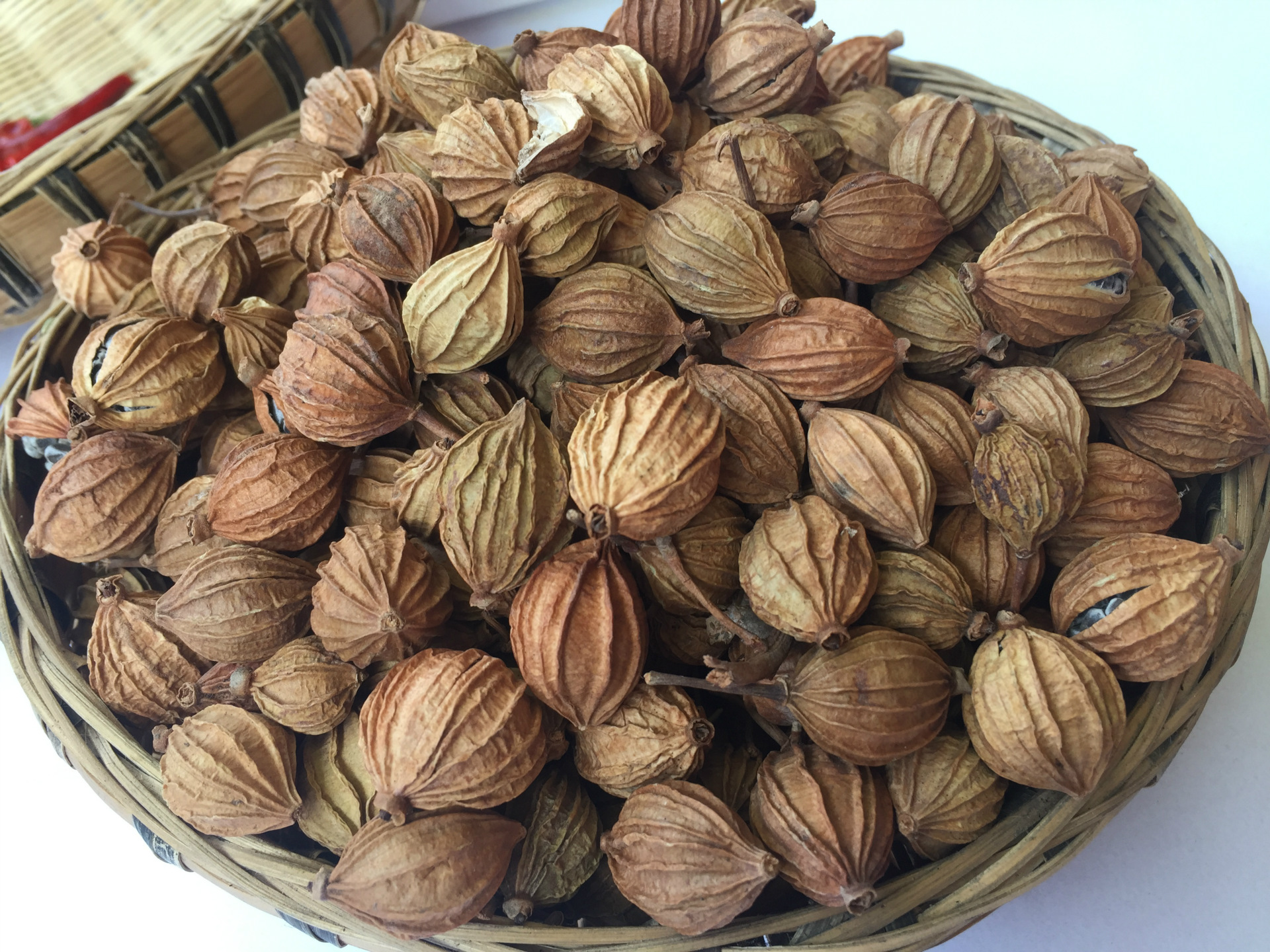 供应川砂仁香沙仁香砂仁可打粉烧烤炖肉卤菜烹饪调料香料齐全