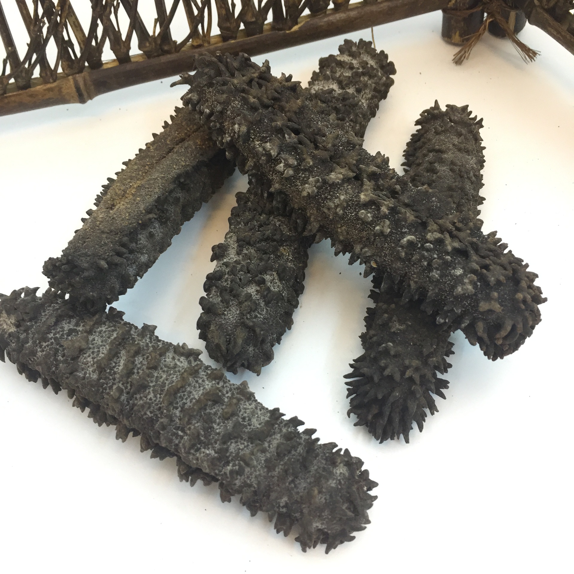 批发天然野生澳洲梅花参5-8头/斤 野生海参 刺参 海参干货批发