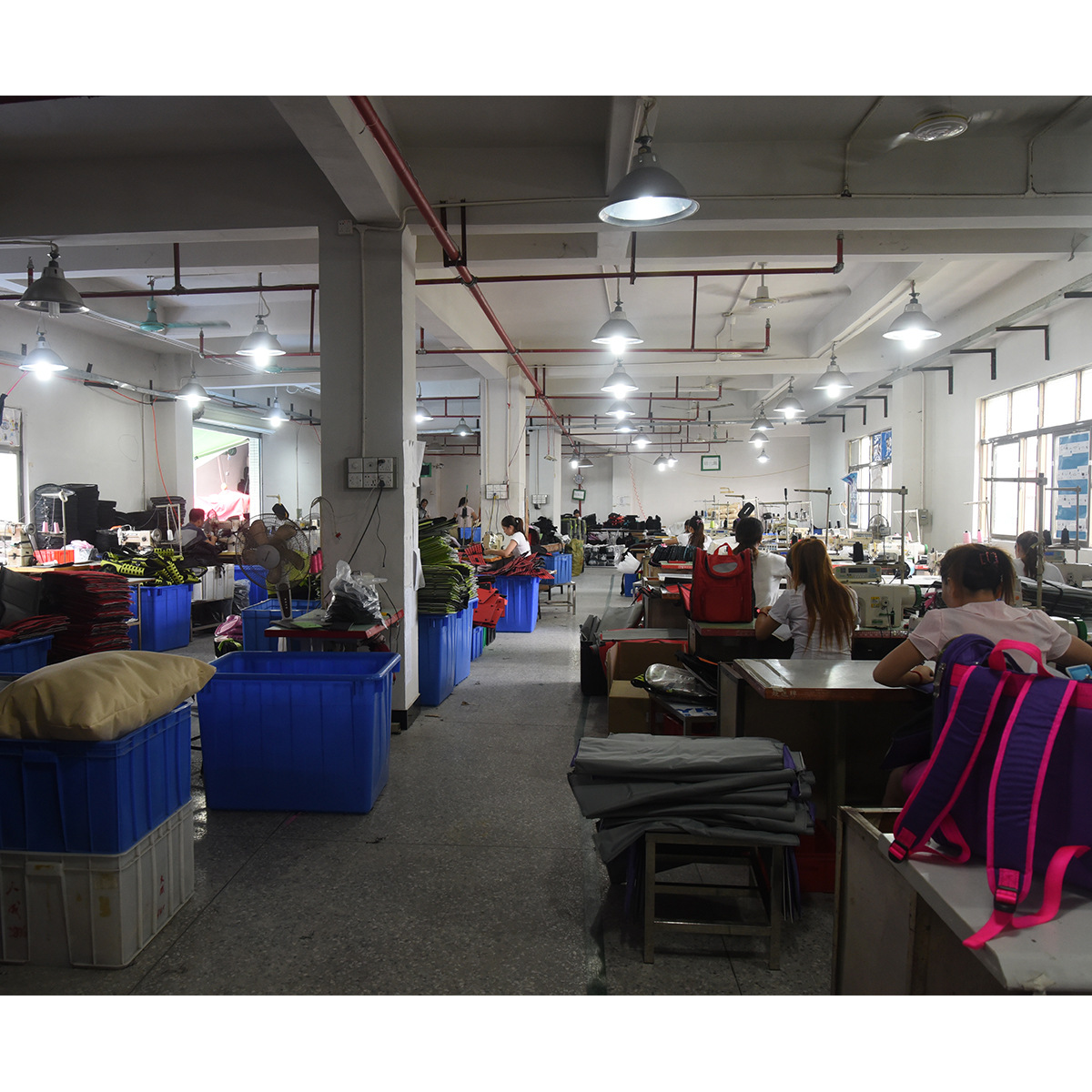 东莞市骏逸宠物用品有限公司
