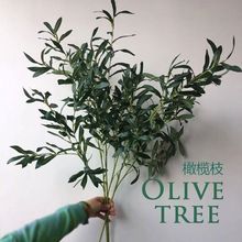 仿真橄榄枝植物茂密 婚庆摄影道具插花材中高杆假枝条绿植装饰品