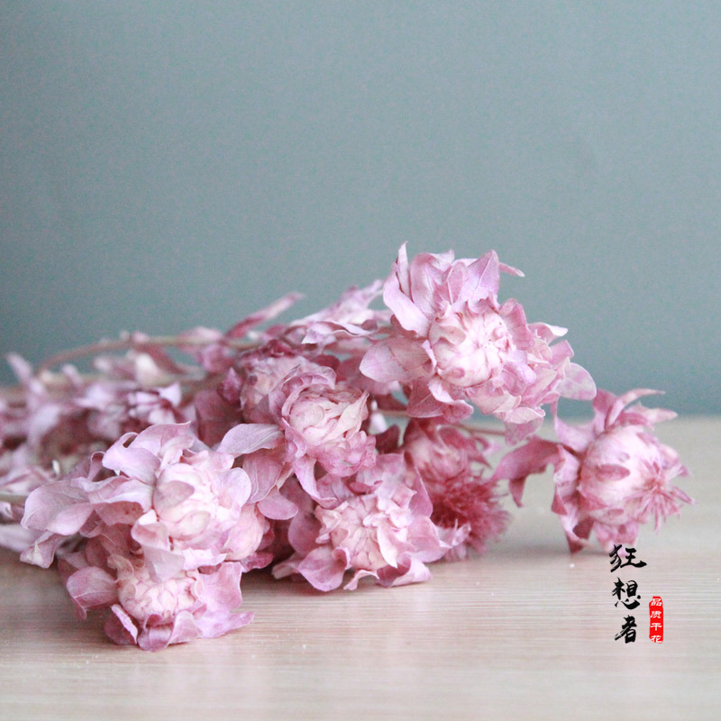 狂想者【永生橙菠萝花】保鲜永生花干花真花束装饰插花拍摄装饰