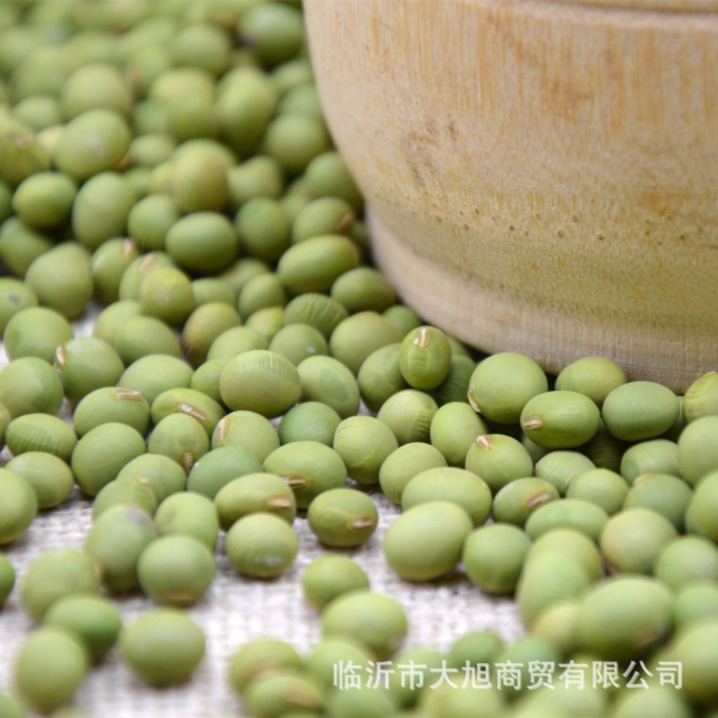 大青豆批发 农场自产豆类杂粮 手捡大青豆 一件500g代发五斤包邮