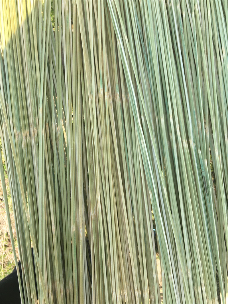 竹丝竹条竹片厂家大量供应青面竹丝 竹条 竹青丝 青面竹丝可订制