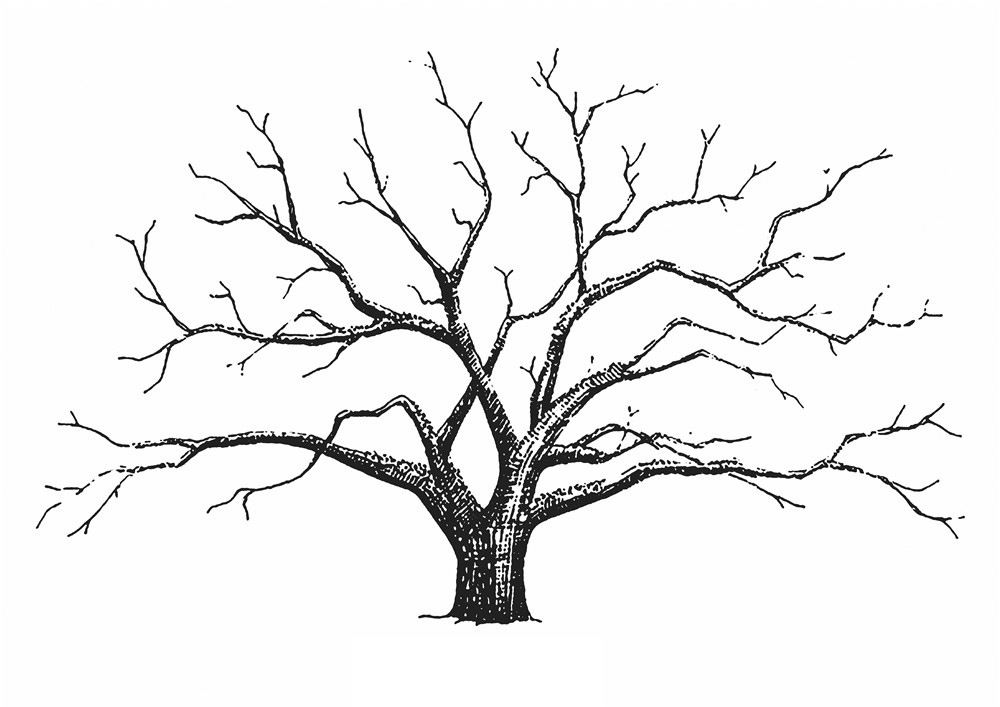 外贸爆款指纹画签到画 西式婚礼庆典生日树个性定制diy装饰画nq05