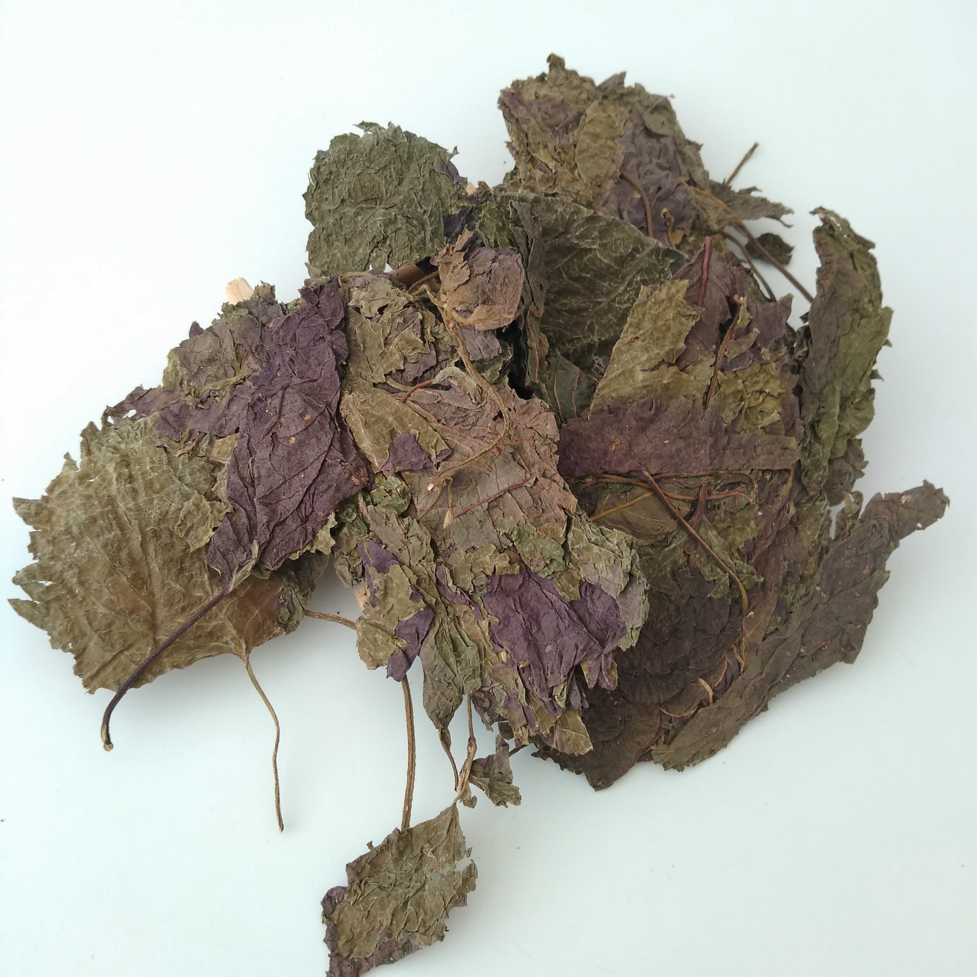 批发中药材 紫苏 优质紫苏叶 可加工紫苏粉 正品保证量大从优