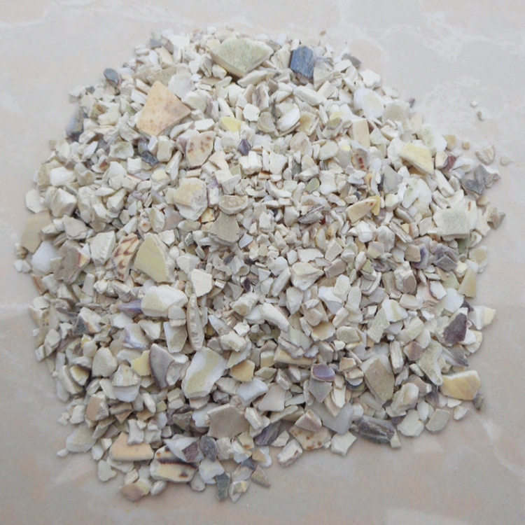 中药材批发 海蛤壳 文蛤壳 蛤壳 代加工超细粉