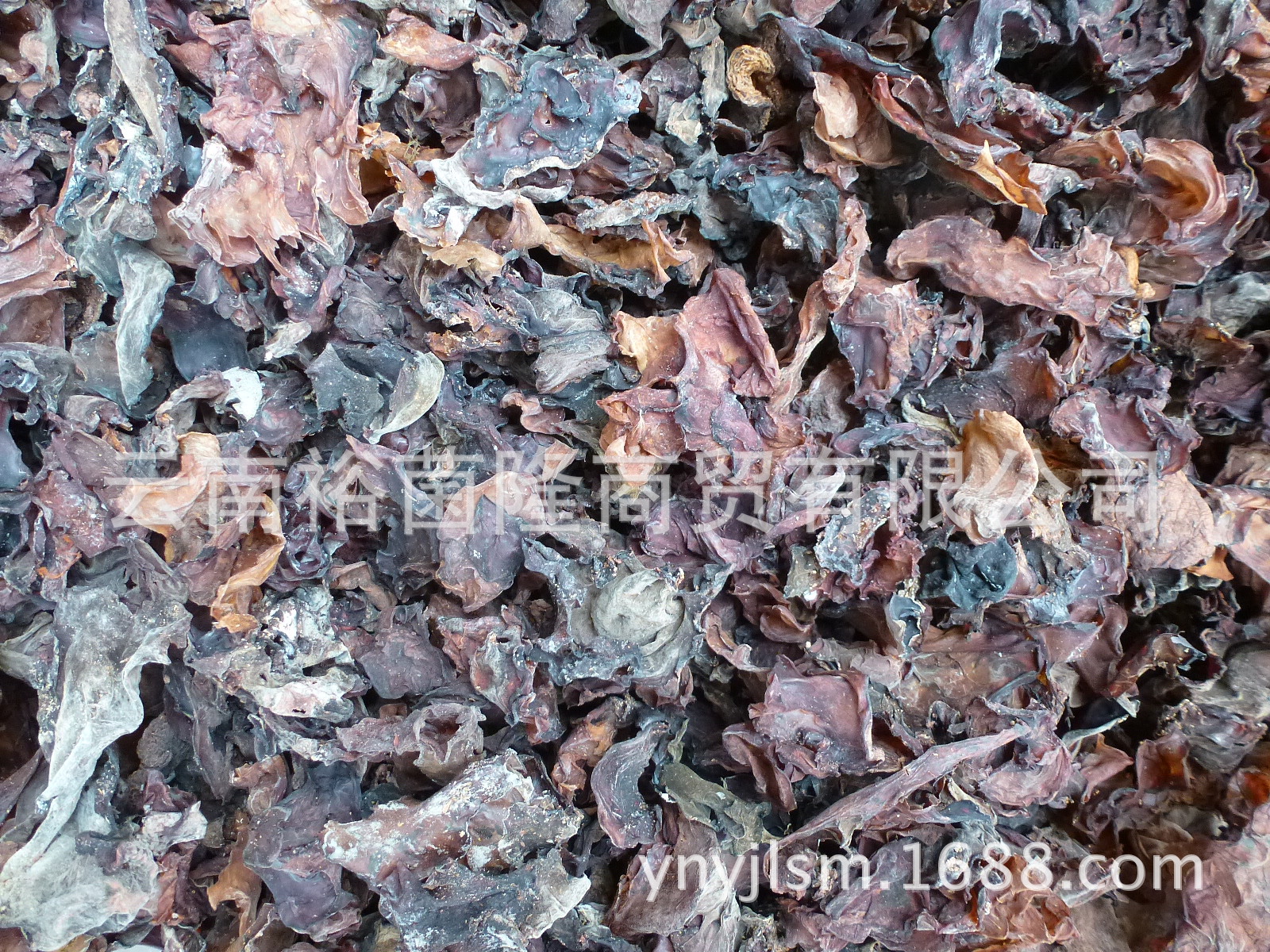 【裕菌隆】 木耳 干红木耳 野生菌水红木耳 产地直销 大货批发