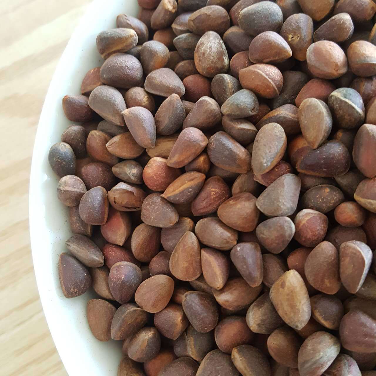 大兴安岭野生马尾松子新货上市小干自然晾晒鼠粮