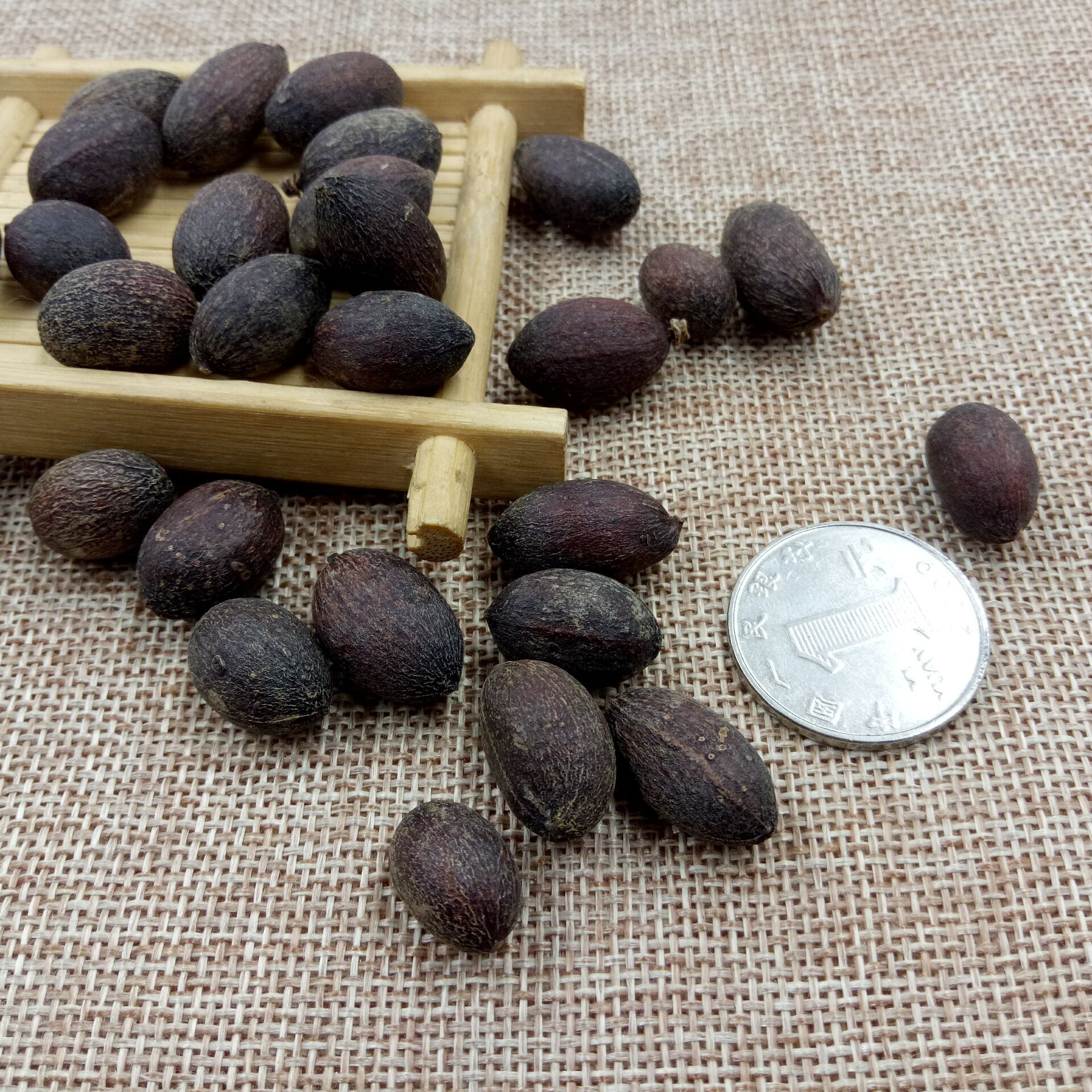 供应中药材 葵树子 葵树籽 新货 质量保证