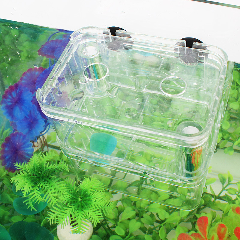 Fish Fry Incubator Guppy Transparent Breeding Box Douyu Isolation Box Acrylic Double-Layer Self-Floating Incubator Large