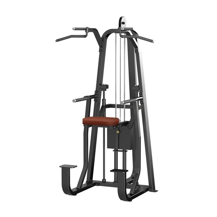 室内健身房训练器材单双杠训练器辅助引体向上机上肢屈伸运动器材
