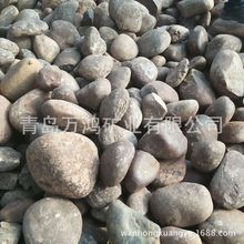 石家庄鹅卵石 30-50mm铺路健身用青灰色大鹅卵石 保健石