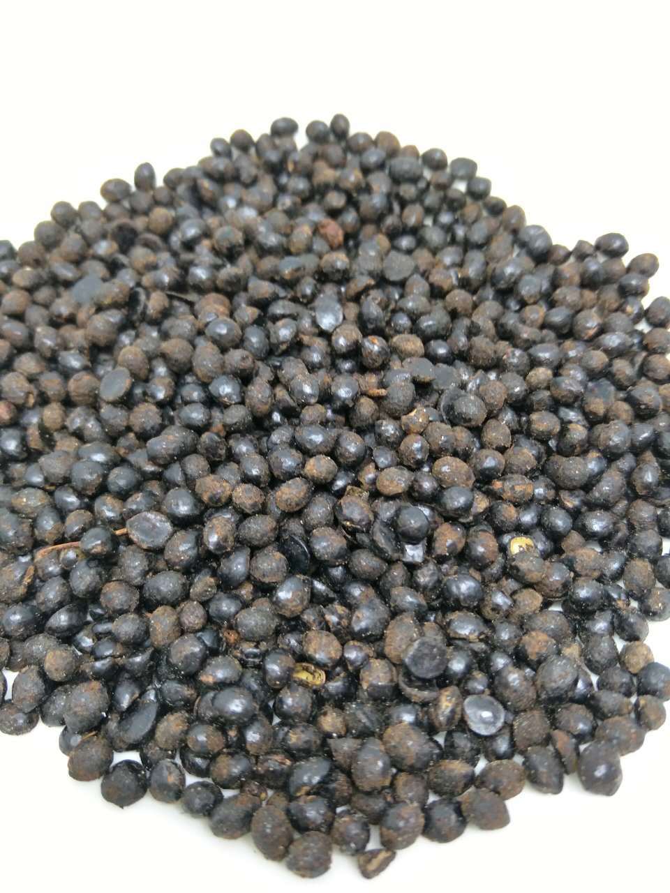 亳州市中药材_亳州市中药材 川椒目 椒目 秦椒目