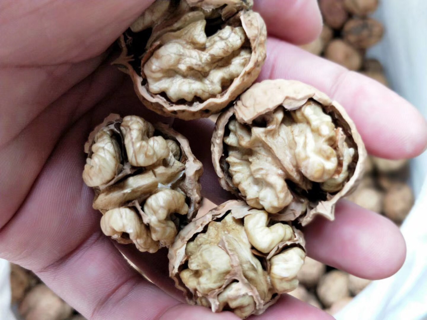 云南新鲜核桃薄皮核桃 2017年纸皮生核桃孕妇 大姚薄壳农家散装