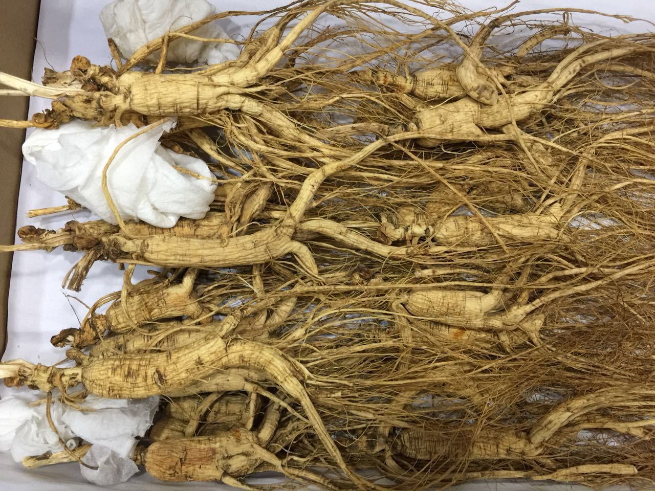 产地货源优质散装须花参山参长白山特产人参一件代发包邮新货