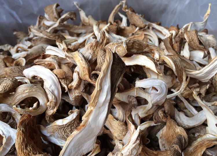 丰驿 北风菌150g 云南土特产 山珍菌干货小吃干蘑菇年货