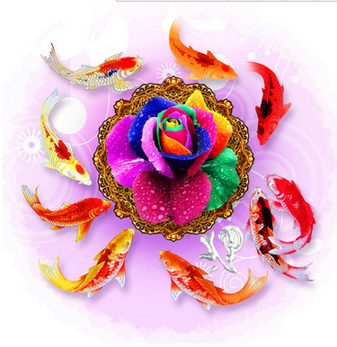 满钻九鱼财富图招财聚财客厅餐厅钻石画