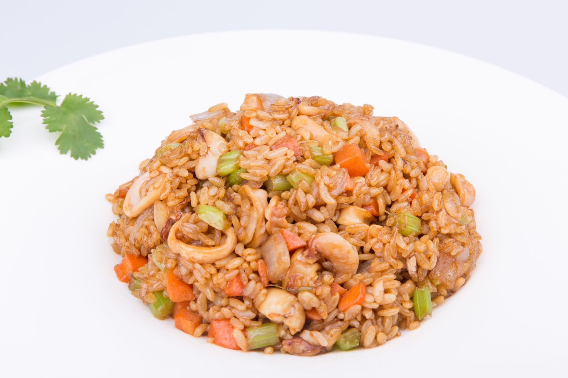 海鲜鱿鱼炒饭350g 鱿鱼调理包 特色炒饭 方便菜中餐午餐批发