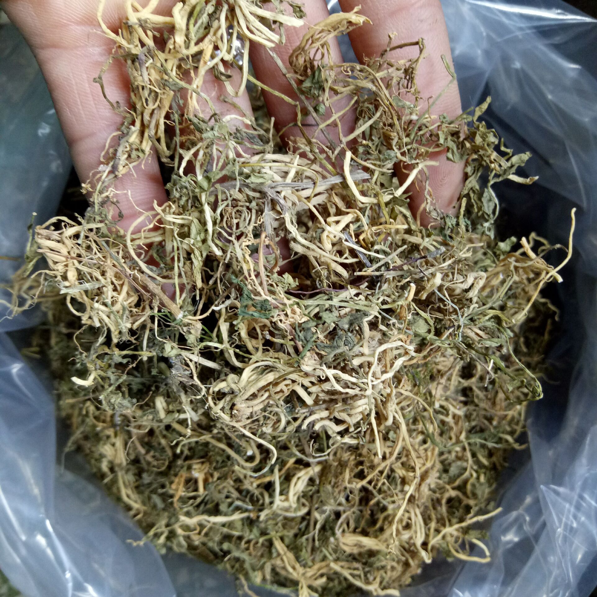 常富中药材 半边莲 半边连 中草药大全 保证质量 免费现磨粉碎