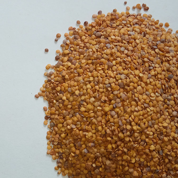 厂家供应熟茄子籽 低温烘焙茄子籽 原料茄子